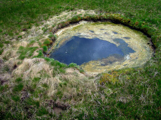 Bubbling sulphur spring in West Thumb Geyser Basin Yellowstone National Park Wyoming 2005