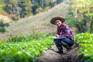 Happy farmer sitting recording the growth and health of potato in field, Agribusiness concept.