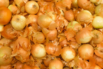 White ripe onions with yellow husks in the store, close-up. Selective soft focus