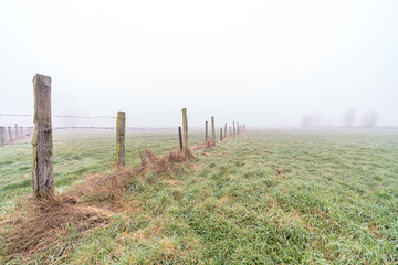 Fototapeta premium fences of a meadow in the fog
