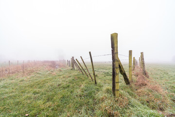 Obraz premium fences of a meadow in the fog