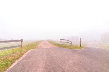 Obraz premium along the meadows there is a road with fog
