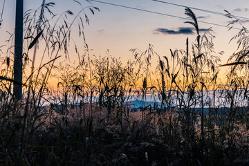 Leme - Interior de São Paulo - Brasil