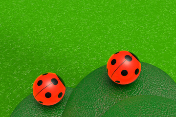 Lady beetle　てんとう虫（3D graphic）