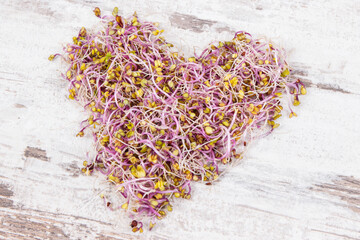 Healthy kale sprouts in shape of heart containing vitamins and minerals