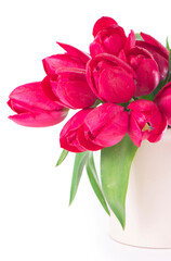 Fototapeta premium Bouquet of pink tulips on a light background