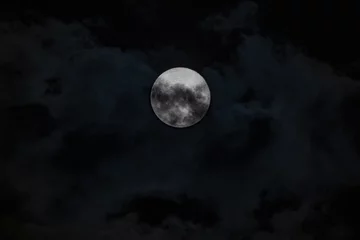 Papier Peint photo autocollant Pleine Lune arbre Pleine Lune, Super Lune, Ver Lune avec Nuages