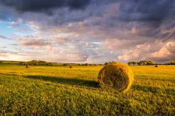 A field with haystacks on a summer or early autumn evening with a cloudy sky in the background....