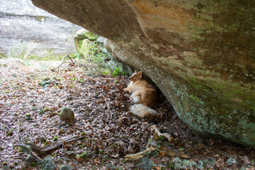 Magical place of giant stones and narrow passages in the mountain.