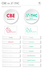 CBE vs ∆9-THC, Cannabielsoin vs Delta 9 Tetrahydrocannabinol vertical business infographic illustration about cannabis as herbal alternative medicine and chemical therapy, healthcare medical vector.