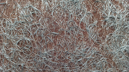 the walls of the buildings are shot-close-up