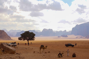 Wadi Rum Desert  JORDAN, the place at the Lawrence of Arabia spring, tourists, Bedouins, cars and...