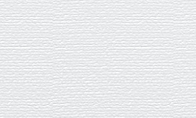 White watercolor paper texture background.
