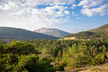 Landscapes and wild nature in the North of Burgos