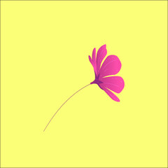flower on a yellow background