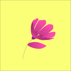 flower on a yellow background