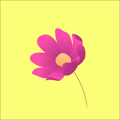 flower on a yellow background