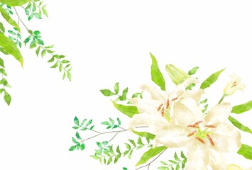 優しいタッチのカサブランカのイラスト