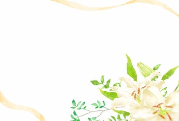 優しいタッチのカサブランカのイラスト