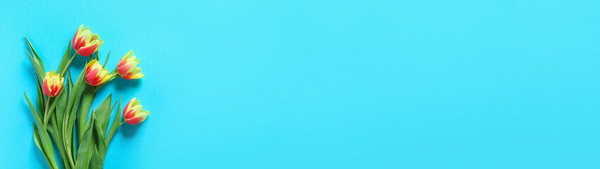 A bouquet of tulips as a gift for March 8, Mother's Day, Valentine's Day. Easter decor. Top view. Copy space. Flowers tulips on a blue background. Banner