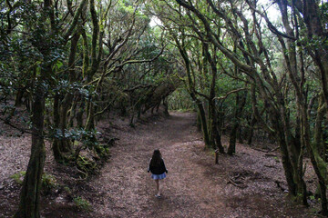 Girl walking in the woods of Anaga, Tenerife