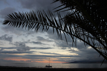 Boat sailing on the sea 