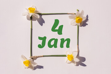 January 4th. Day of 4 month, calendar date. Frame from flowers of a narcissus on a light background, pattern. View from above. Summer month, day of the year concept