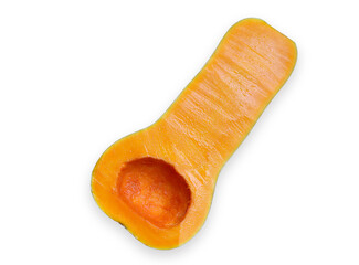 Butternut squash isolated on white background
