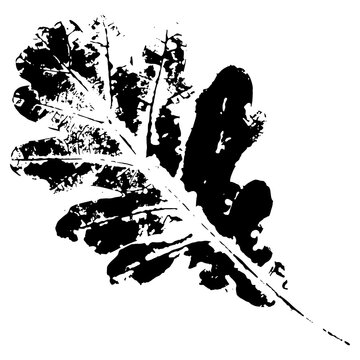 Ink print leaves. Black ink prints of leaves of trees and bushes