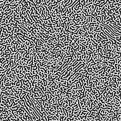 Cyclic Symmetric Multiscale Turing Pattern. Monochrome texture