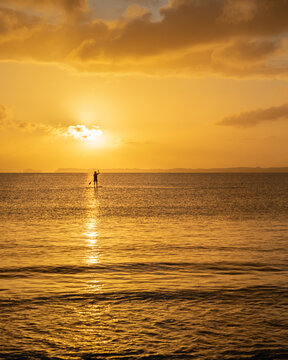 Silhouette image of a man on the paddleboard at sunrise at Milford Beach, Auckland. Vertical format.
