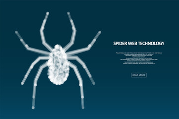Spider hacker attack danger