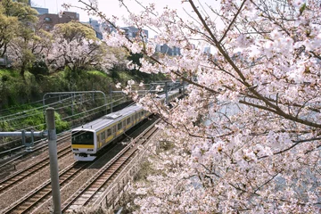 Crédence de cuisine en verre imprimé Tokyo Train on railway and cherry blossoms in spring, Tokyo, Japan　春の東京 電車（JR総武線）と桜の花