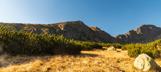 Autumn Furkotska dolina valley with peaks around in Vysoke Tatry mountains in Slovakia © honza28683