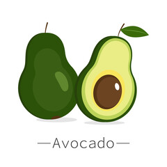 Avocado fruit. Illustration in flat style. Vector illustration.