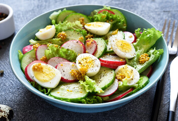 Vegetable, fresh salad with radish, egg and salad leaves in a blue plate on a concrete background.