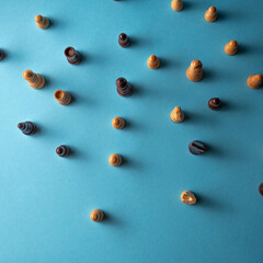 Teamwork, working team, different people in the working team, the concept of social interactions of different people.