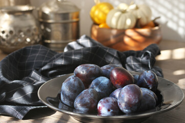 Fresh blue plums in black plate and mini pumpkins