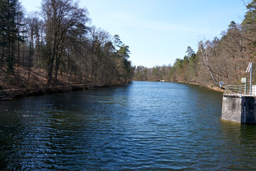 small lake in the forest with sunshine and under blue sky