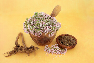 Valerian herb flowers and dried root. Used in herbal medicine as a sedative and to treat insomnia,...