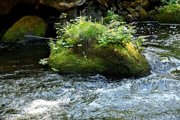 Ilot éclairé par un rayon de soleil au milieu d'une rivière