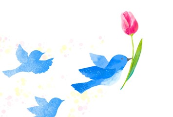 Obraz na płótnie Canvas 優しいタッチのチューリップをくわえる幸せを運ぶ青い鳥のフレーム