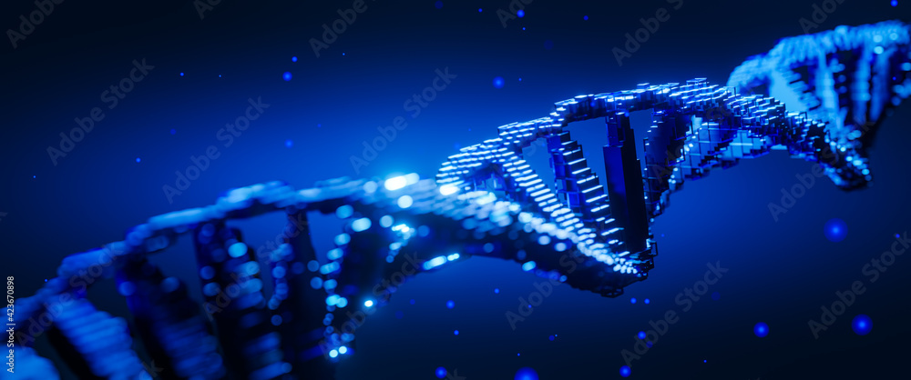 Wall mural dna digital. study of gene structure of cell. molecule structure. genetic engineering of the future.