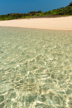 Paradise beach vertical scene in layers, blue sky, reen vegetation; white sand and an impressive crystal clear sea. Iriomote Island.