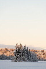 Frozen Lake in Swedish Taiga with Forests and Sunset