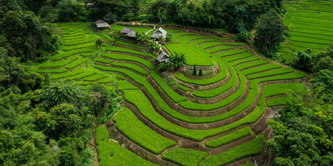 Aerial top view with  selective focus green landscape view of green rice terraces in Chiangmai, Thailand