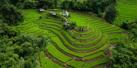 Cercles muraux Rizières Aerial top view with  selective focus green landscape view of green rice terraces in Chiangmai, Thailand
