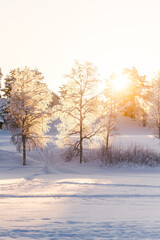 Frozen Lake in Swedish Taiga with Forests and Sunset