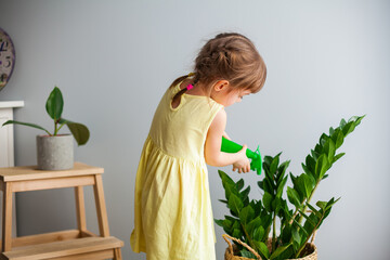 Little girl spraying the plant zamioculcas