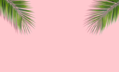 Fototapeta na wymiar Palm leaves background. Tropical palm leaves on an empty colored background. Summer, tropics, sun, vacation concept